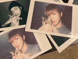 Menggemaskan, Ini Artis-artis Top Korea Penyayang Kucing