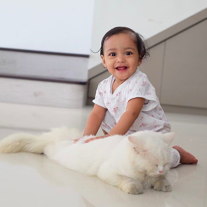 <p>Wah, <em>baby</em> Shafiyyah berani pegang kucing. Si kumis putih yang anteng itu namanya Smoocky, Bun, kucing yang dipelihara Mami Shireen dari sebelum nikah sama Abi Wisnu. (Foto: Instagram @shireensungkar)</p>