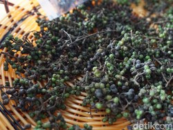 Andaliman, Merica Batak yang Pedas Menyengat dengan Aroma Lemon