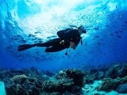 Kisah Orang Belanda Hobi Diving di Raja Ampat, Kini Punya 2 Resor