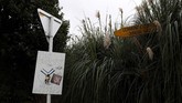 FOTO: Hari-hari Umat Muslim Usai Teror di Selandia Baru Sudah sebulan berlalu sejak aksi teror di Kota Christchurch, Selandia Baru. Hal itu membuat umat Muslim setempat sangat trauma.