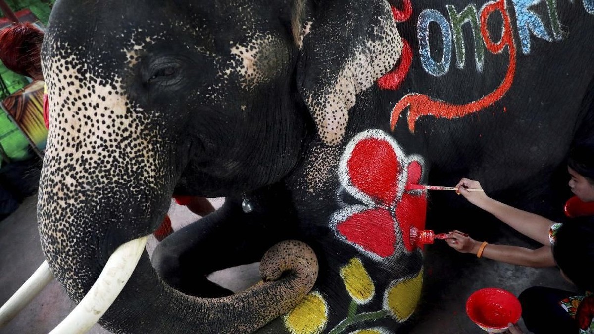 FOTO: Kuyup di Songkran Thailand