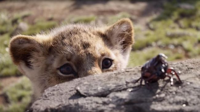 Pekan ini jadi momen yang baik bagi generasi '90-an untuk mengenang kembali cerita "hakuna matata" dalam The Lion King.
