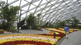 FOTO: Rupa Megah Bandara Singapura Bandara Jewel Changi di Singapura memiliki air terjun di dalam ruangan yang tertinggi di dunia.