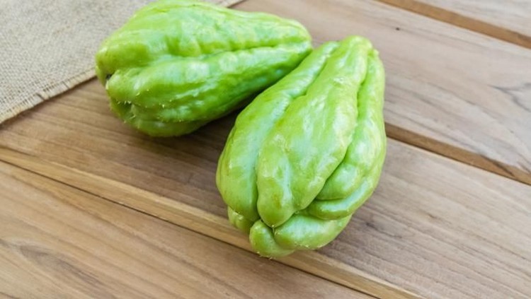 labu siam