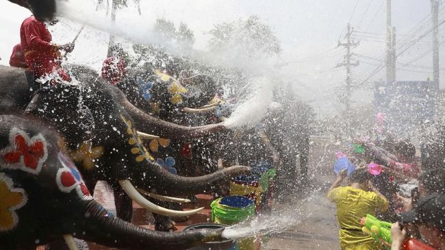 Pemerintah Denmark memulai langkah larangan penggunaan gajah dalam atraksi sirkus di negaranya.