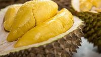 Studi: Durian Bisa Cegah Kerusakan Gigi dan Bau Mulut