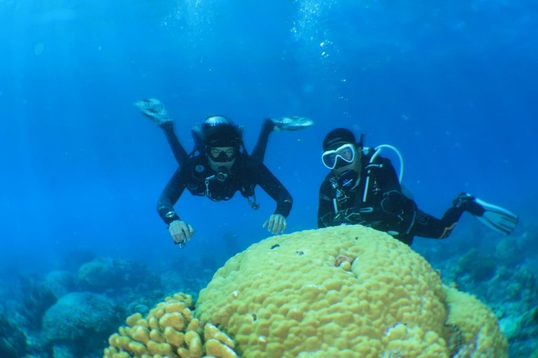 Episode My Trip My Adventure kali ini akan kembali menyelami lautan Anambas yang indah bersama Marshall Sastra dan Syamsir Alam.