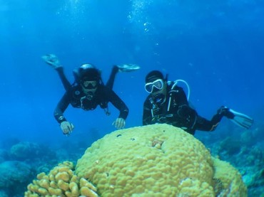 Keseruan Marshall Sastra & Syamsir Alam Selami Lautan Anambas