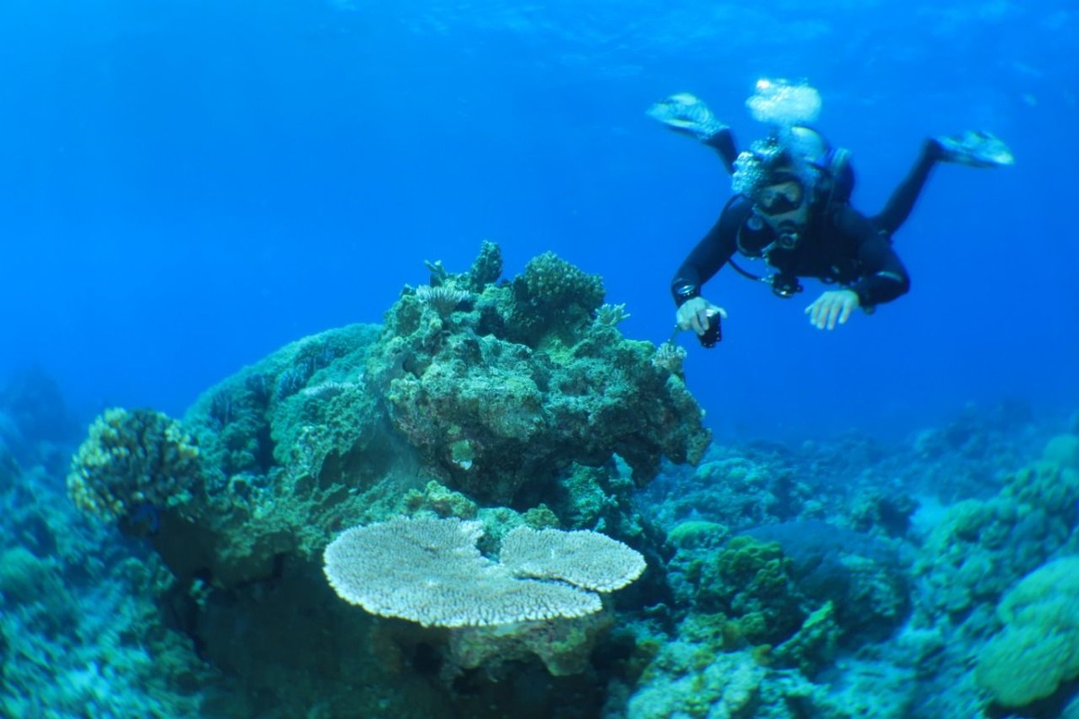 Episode My Trip My Adventure kali ini akan kembali menyelami lautan Anambas yang indah bersama Marshall Sastra dan Syamsir Alam&period;