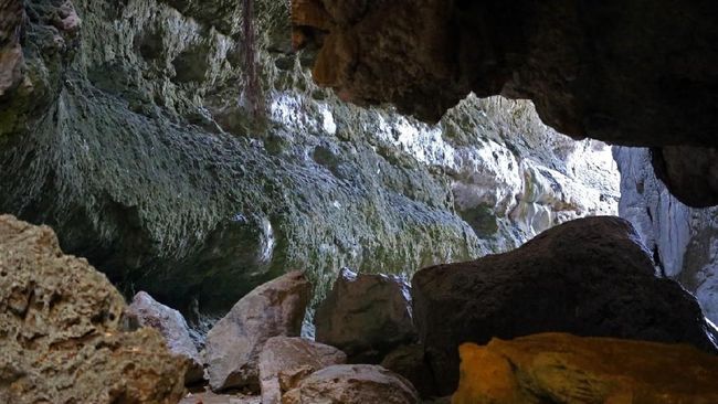 Di fase pertama ini, wisatawan lokal bisa masuk ke sejumlah destinasi wisata di luar Taman Nasional (TN) Komodo secara gratis.