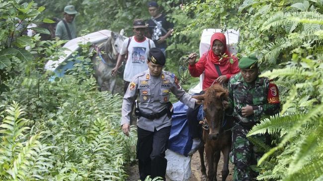 Pemilu bukan hanya semarak di Pulau Jawa, karena kawasan pelosok di Indonesia juga merayakannya. Gajah dan kuda diturunkan demi angkut surat suara.