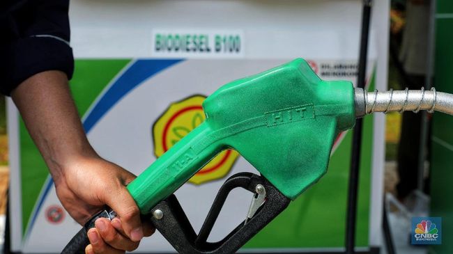 Tok! HIP Biodiesel Februari 2025 Ditetapkan Rp13.231 per Liter