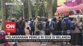 VIDEO: Semangat Partisipasi WNI Gunakan Hak Pilih di Belanda