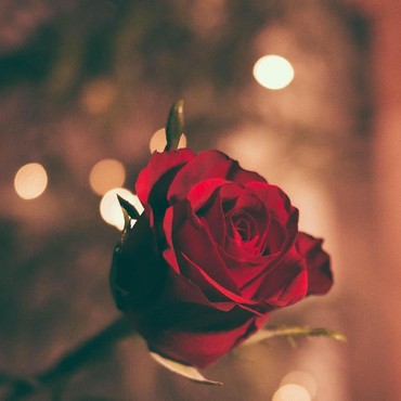 Kapan Pertama Kali Jatuh Cinta?