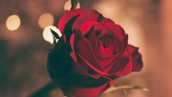 Kapan Pertama Kali Jatuh Cinta?