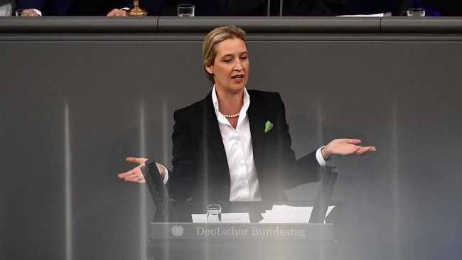 Alice Weidel, pemimpin partai sayap kanan di Jerman, mengaitkan kebakaran Katedral Notre-Dame, Paris, dengan gerakan anti-Kristen di Eropa.