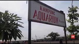 VIDEO: Pemilu 2019, Kampung Aquarium Taruh Asa Presiden Baru