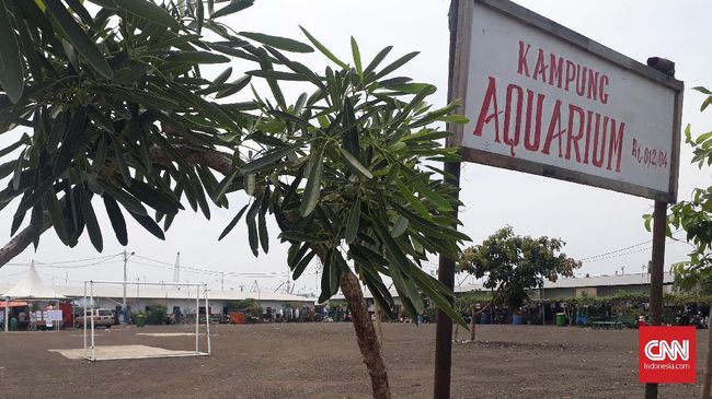 Sebelum dikenal karena konflik penggusuran tahun 2016, Kampung Akuarium merupakan laboratorium fauna laut di era penjajahan Belanda.