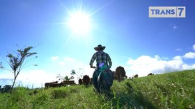 VIDEO: Jejak Petualang Weekend di Sumatra Barat