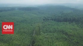 VIDEO: Kolaborasi Menjaga Hutan Lestari (1-5)