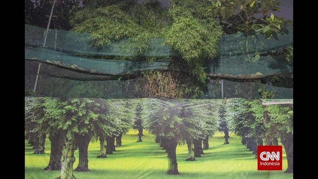FOTO: Hutan Beton Bernama Jakarta