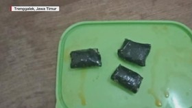 VIDEO: Penyelundupan Narkoba dalam Kepala Ikan Lele