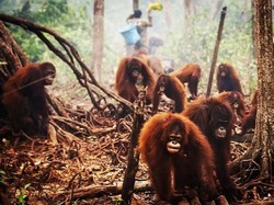 5 Foto Ini Ungkap Pentingnya Menjaga Bumi