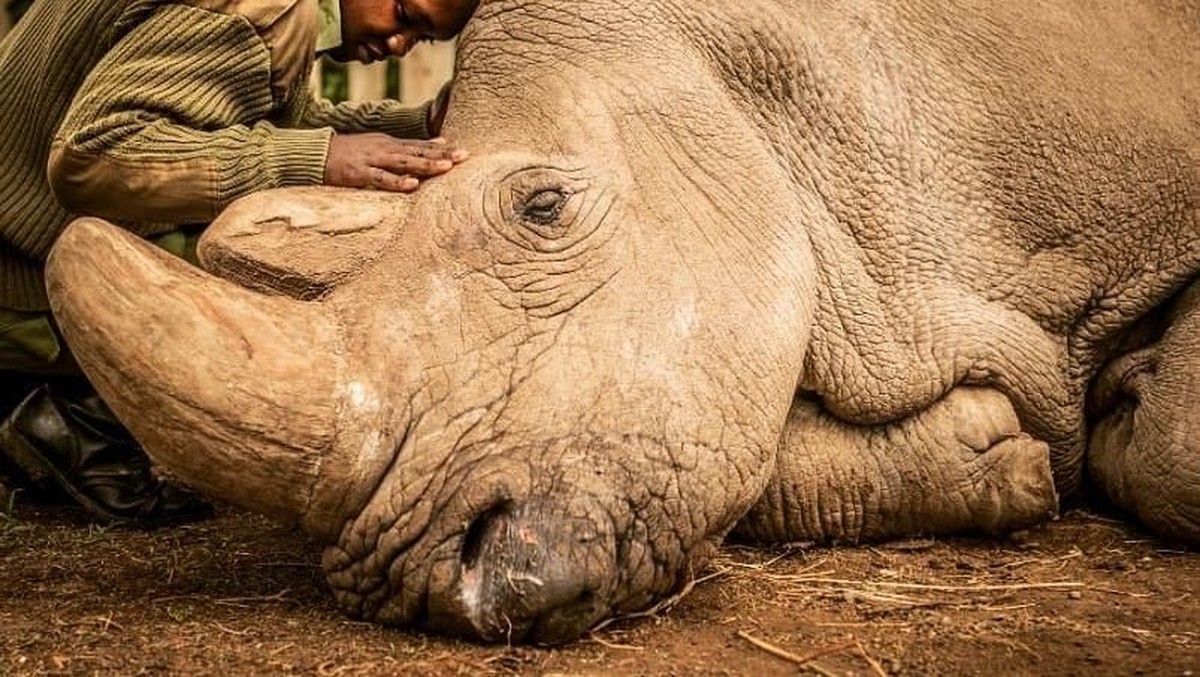 Hari Bumi Sedunia yang jatuh pada 22 April&comma; jadi momen untuk menjaga kelestarian bumi&period; Tujuh foto ini ungkap pentingnya menjaga seisi bumi dari kepunahan&period;