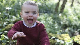 Sweter Anjing Pangeran Louis Ludes Terjual