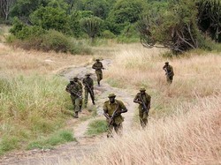 Taman Nasional Virunga Kongo Diserang, 12 Penjaga Tewas