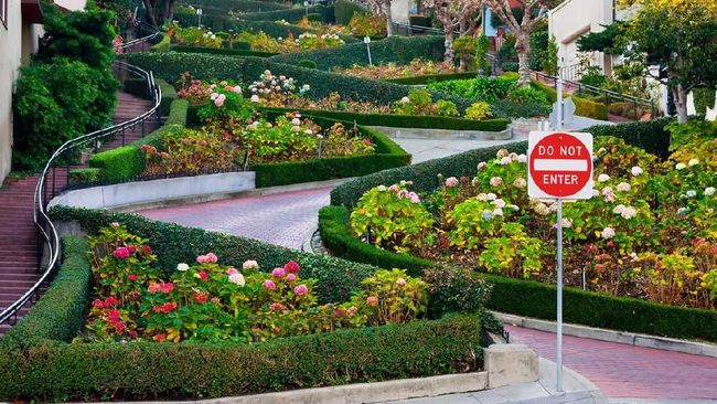 Saat musim panas yang menjadi musim turis di San Francisco, jumlah turis yang datang mencapai 6.000 orang per hari.