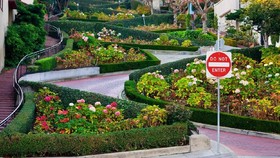 Tak Lagi Gratis Lewati Jalan Fotogenik di San Francisco