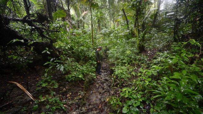Kegiatan mengamati satwa liar di area Taman Nasional menjadi sebuah daya tarik tersendiri.