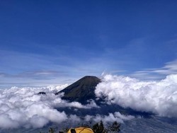 Duh! Pilot Ini Tewas Jatuh ke Jurang saat Mendaki Gunung