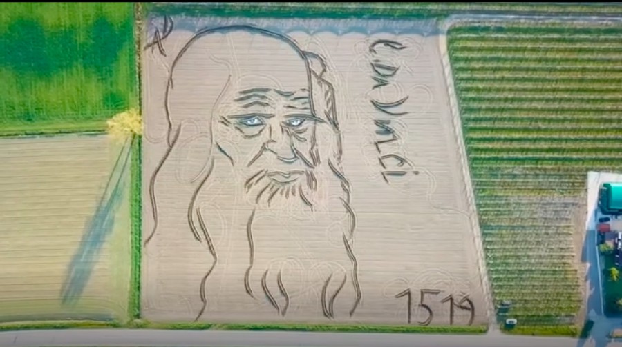 Seorang seniman Italia, Dario Gambarin membuat lukisan wajah Leonardo da Vinci di lahan pertanian.