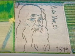 Lukisan Raksasa Wajah Leonardo da Vinci di Lahan Pertanian