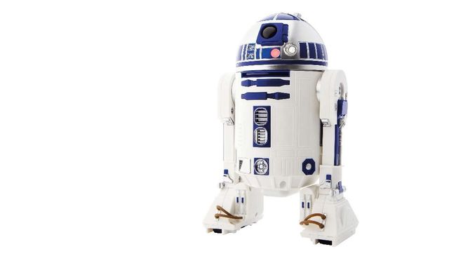 Sebuah kawasan di Irlandia resmi berganti nama menjadi R 2D2.