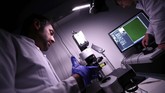 FOTO: Peneliti Jerman Kembangkan Organ Tembus Pandang Tim peneliti asal Jerman mengembangkan teknologi untuk membuat organ transplantasi tembus pandang.