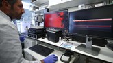 FOTO: Peneliti Jerman Kembangkan Organ Tembus Pandang Tim peneliti asal Jerman mengembangkan teknologi untuk membuat organ transplantasi tembus pandang.