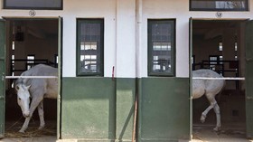 NYALANG: Menatap Ruang dan Lekuk-lekuk Ilusi