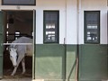 NYALANG: Menatap Ruang dan Lekuk-lekuk Ilusi