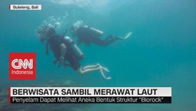 VIDEO: Berwisata Sambil Merawat Laut