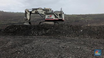 Tambang Kaltim Prima Coal