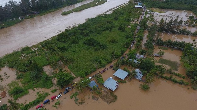 BNPB mencatat 12 ribu warga Bengkulu mengungsi karena banjir. Mereka butuh bantuan makanan hingga peralatan bayi.