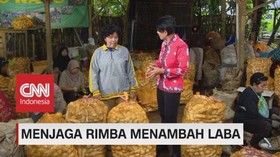 VIDEO: Menjaga Rimba Menambah Laba (4/5)