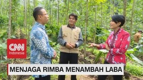 VIDEO: Menjaga Rimba Menambah Laba (2/5)