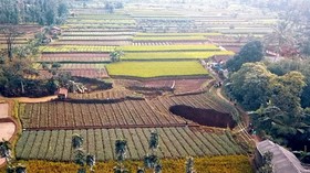 Lubang 1 Meter Misterius Muncul di Sawah Warga di Bandung Barat