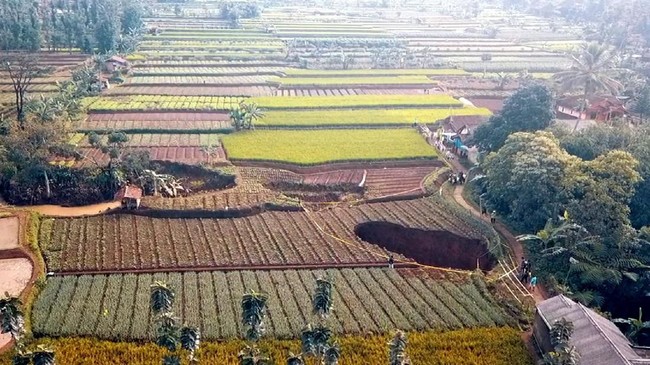 Lubang seukuran 1 meter muncul di sawah warga di daerah Bandung Barat. Ahli sebut tak berbahaya.