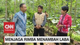 VIDEO: Menjaga Rimba Menambah Laba (1/5)